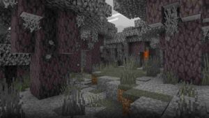 Minecraft 1.21.50.26 2