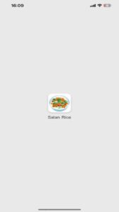 Salan Rice 3