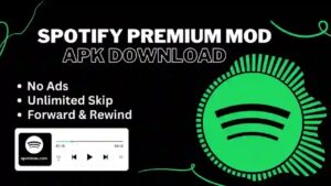 Spotify Premium 3